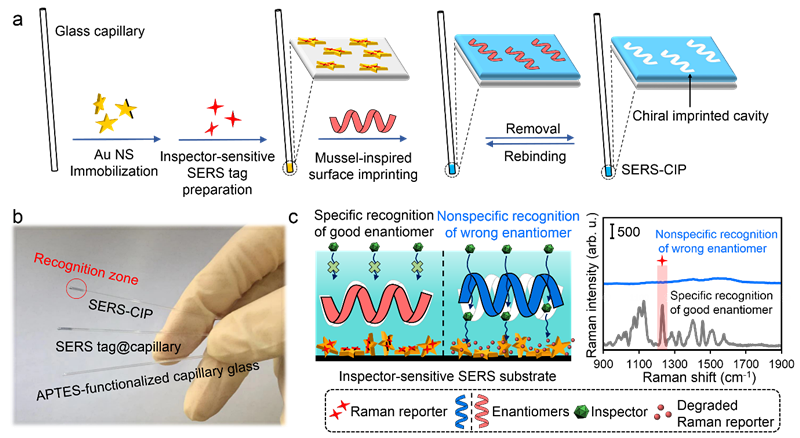 New progress in chiral imprinting SERS strategy for absolute enantiomer discrimination